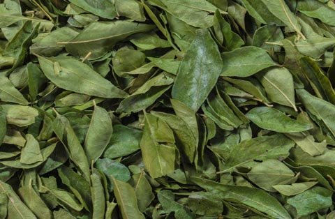 Freeze dried french freeze-dried-curryleaves