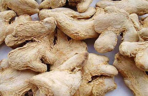 Freeze dried ginger